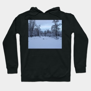 Frozen pond covered in fresh snow. Hoodie